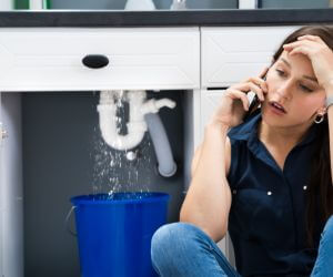 About Plumbers Pros Cedarville, MI